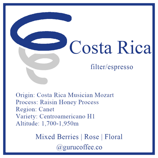 Costa Rica Canet Musician Series Mozart H1