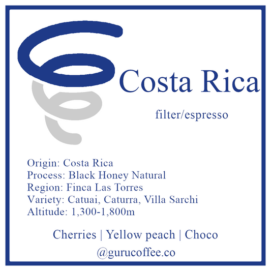 Costa Rica Finca Las Torres Black Honey