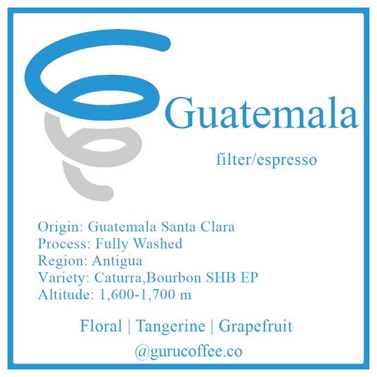 Guatemala Antigua Santa Clara Genuine SHB EP Washed